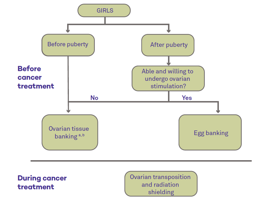 Preserving Fertility in Pediatric Cancer Patients